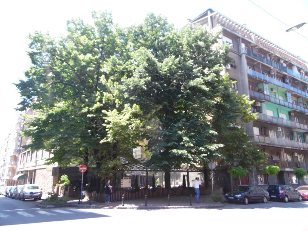 Apartment Vracar Belgrade Exterior photo